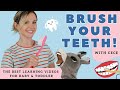 Learn To Brush Your Teeth With CeCe I Sing The Kids Toothbrushing Song I Baby Learning Video