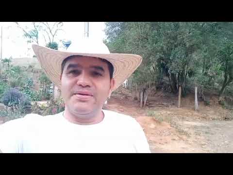 CHACARA 2.4 HECTARES 230 MIL  SIQUEIRA CAMPOS PR