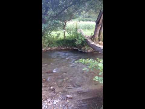 Crivina de Sus jud. Timiș.