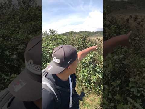 Increíble vista a el volcán PURACE 😳 #naturaleza #documental