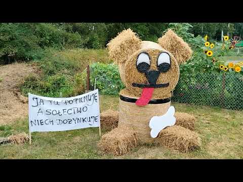 Dziękczynienie za plony w gminie Drohiczyn