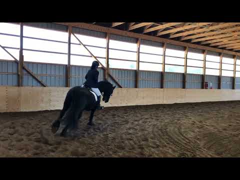 2022 04 29 - LDA - MacNeil - Linda - Cadora Training Level Test A