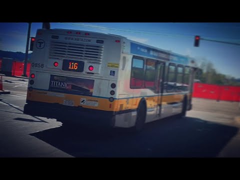 Riding MBTA route 116 outbound to Wonderland. (announcements only)