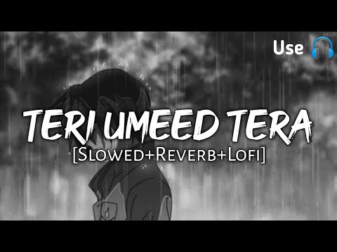 Teri Umeed Tera Intezar - Unplugged Slowed And Reverb | Indian Lofi | Rishi Kapoor | Diwana | Lofi