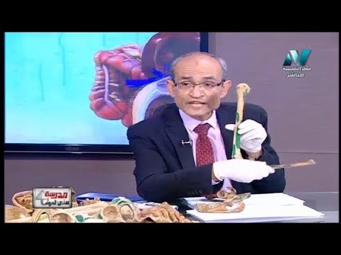 أحياء الصف الثالث الثانوى 2019  - الجهاز الهيكلى فى الإنسان 6-3-2019