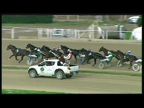 Trotto 15/11/2020 - 3ª corsa