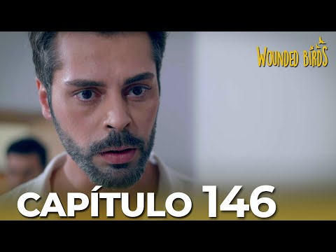 Omer Sueños Robados |  Capítulo 146