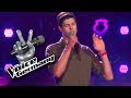 Elvis Presley Always On My Mind Benedikt Köstler Cover The Voice Of Germany 2017 Audition