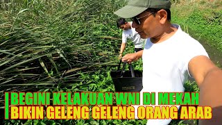 Download lagu BIKIN GELENG GELENG ORANG ARAB ‼️ MELIHAT KELAKUAN  WNI DIKOTA MAKKAH SEPERTI INI mp3