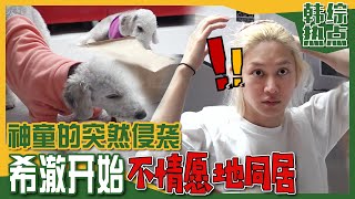 [Chinese SUB] Shingdong & his dogs at Hee-chul's! You're staying for 3 days??ㅣMy Little Old Boy video