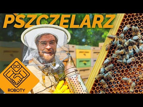 , title : 'Jak opiekować się pszczołami - Praca pszczelarza | DO ROBOTY'