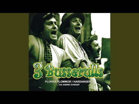 Øl Øl Og Mere Øl - 3 Busserulls