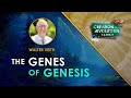 Creation Or Evolution The Genes Of Genesis Walter Veith