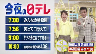 【今夜の日テレ】みんなの動物園＋笑ってコラえて!＋土曜ドラマ「タツキ先生は甘すぎる!」最終回＋追跡取材 news LOG【おススメ番組】