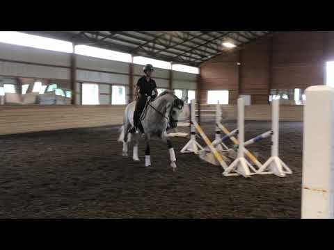 For Sale: Leo Visto M