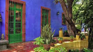 Suburb weekend midday ambience sounds - 1 hour