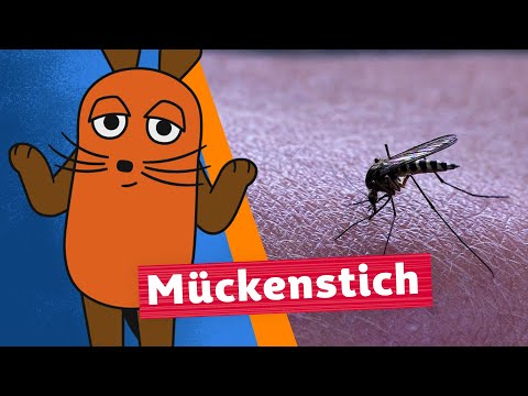 Warum sticht die Mücke? | Die Maus | WDR