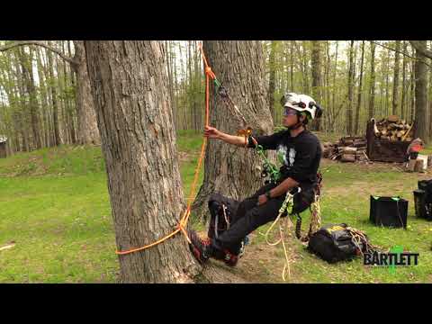 MRS Counter Balance Rescue Demo