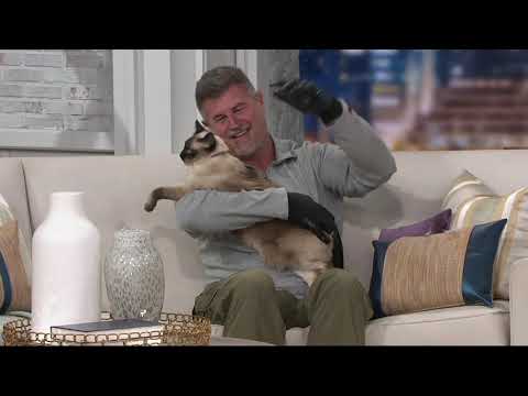 Hands On Pet Shedding Bathing & Grooming Gloves on QVC
