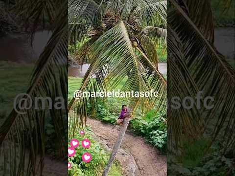 Mulher Guerreira de Santana do Mundaú #shorts #viral #mulher #vídeo #foryou #shortsfeed #shortvideo
