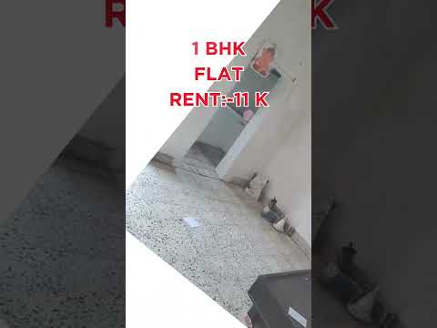 1 BHK 700 Sq.ft. Apartment for Rent in Prahlad Nagar, Ahmedabad