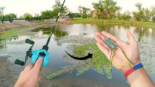Fishing for BIG TOPWATER Bass (BIG BLOWUPS)