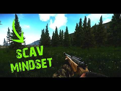 Want Better Scav Runs? Do This!
