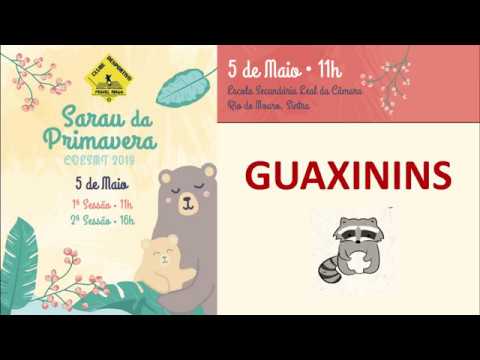 CDESMT - Sarau da primavera '19 - GUAXININS