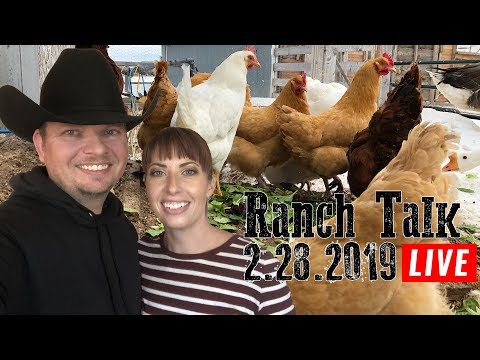 download lagu mp3 mp4 Marshmallow Ranch, download lagu Marshmallow Ranch gratis, unduh video klip Marshmallow Ranch
