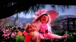 Muppets 3d  Show at Disney&#39;s Hollywood Studios - Miss Piggy&#39;s Song