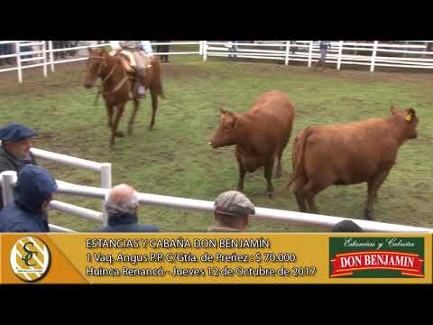 12-10-17 Venta de Vientres Angus y Hereford P.P. - Estancias y Cabaña Don Benjamín - Huinca Renancó