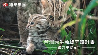 [討論] Toyota這廣告是不是撿到槍？