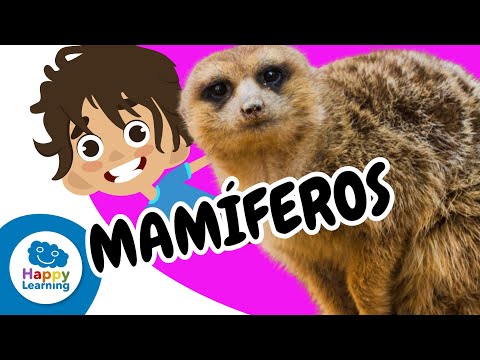 🐾 LOS MAMÍFEROS y sus increíbles características | Vídeos Educativos para Niños | @HappyLearningES