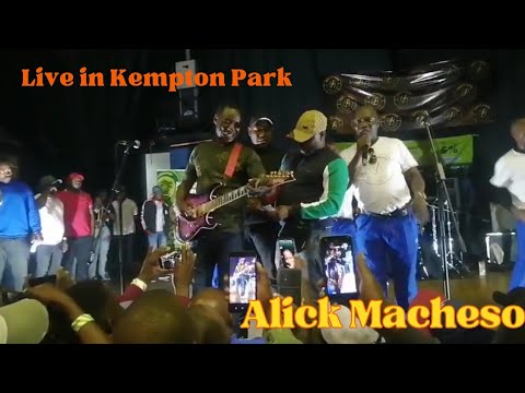 Alick Macheso opiwa Mari arova MURUME lead guitar.. watch till the end