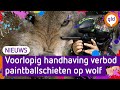 Provincie wil schieten op wolf in aanwezigheid van publiek