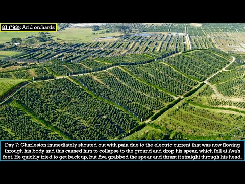 Tales of The Hunger Games: The 81st games