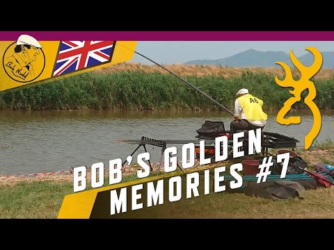 Bobs Golden Memories 7
