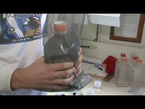 How to Perform Primary Productivity Measurements