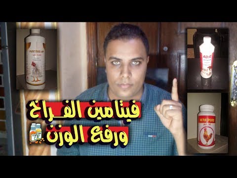 , title : 'فيتامين الفراخ و رفع الوزن // عشاق الدواجن'