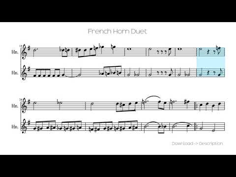 🎶 French Horn Duet 🎸🎸