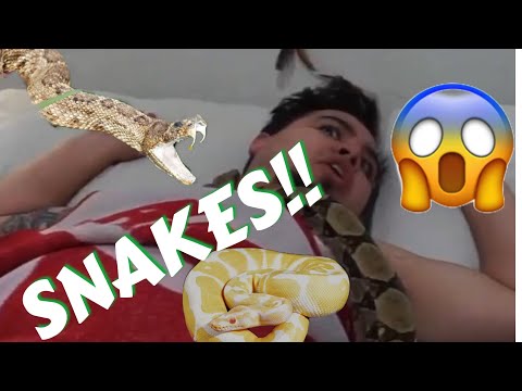 Epic Snake Prank | Wake Up Prank | Rod Rivals