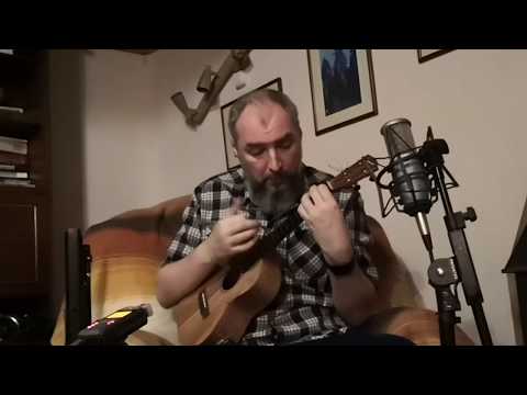 Martha My Dear for solo ukulele