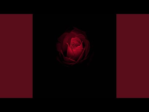 Iti Aduc Toti Trandafirii