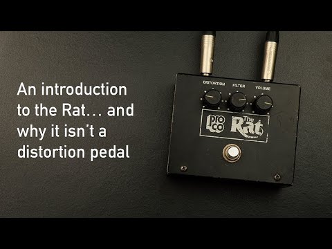 ProCo Vintage Rat Big Box Reissue with Battery Door and LM308 Chip 1991-2003 - Black Bild 4