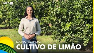 Miniatura do vídeo