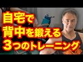 【自宅トレ】自宅でも背中を鍛えることができる3つのトレーニング種目