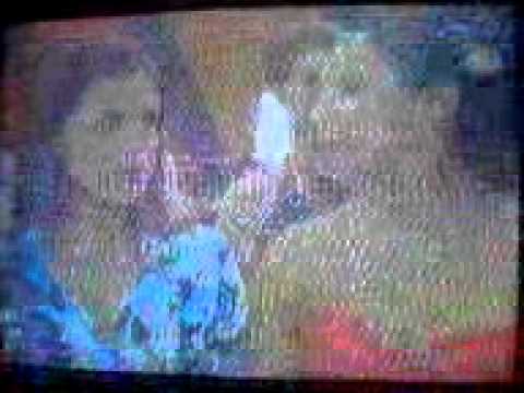 al fondo hay sitio en la fiesta de los bogani