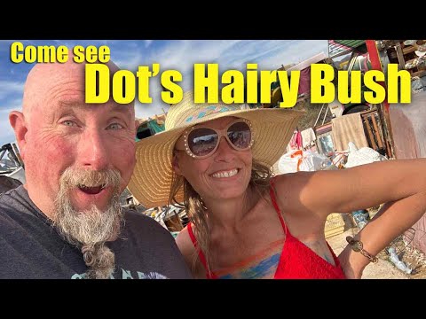 Hot Hairy Bush