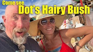 Dots Hairy Bush