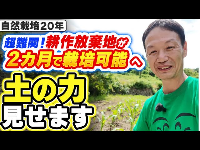 開墾2ヶ月で耕作放棄地が甦る自然栽培
